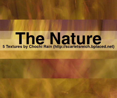 love12_textures_nature