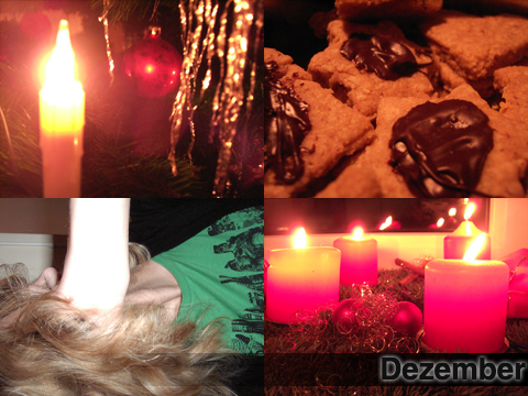 Jahresrückblick 2010 Dezember