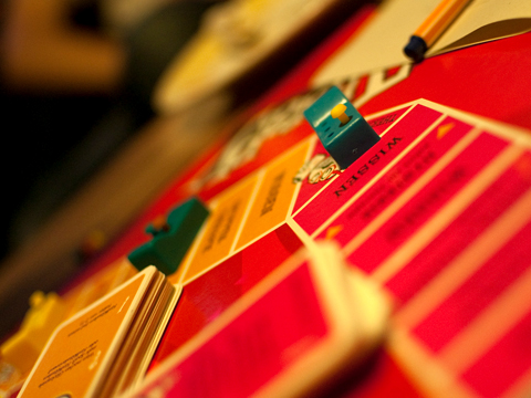 fünf Jahre - 18 2009: Soulis 20ter Geburtstag - Therapie spielend (19 Jahre alt)