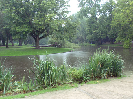 Vondelpark im Regen