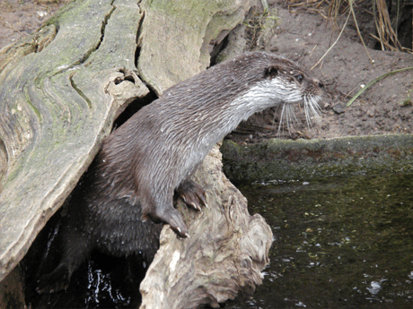 doku125_zoo01 doku125_zoo01