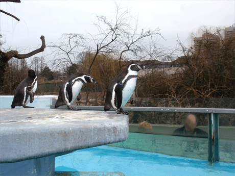 doku125_zoo04 doku125_zoo04