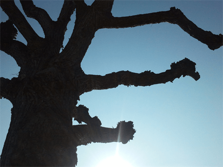 doku128_looking_up02