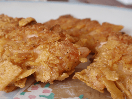 doku154_nachofisch01