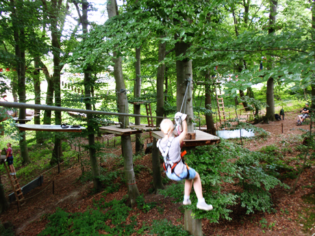 doku178_kletterwald04