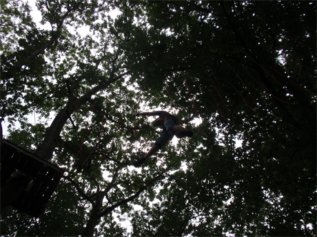 doku178_kletterwald05