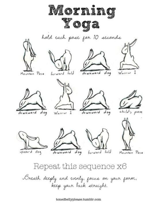 Yoga with Bunnies