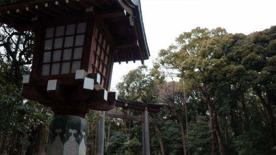 Der Yoyogi Park in Tokyo