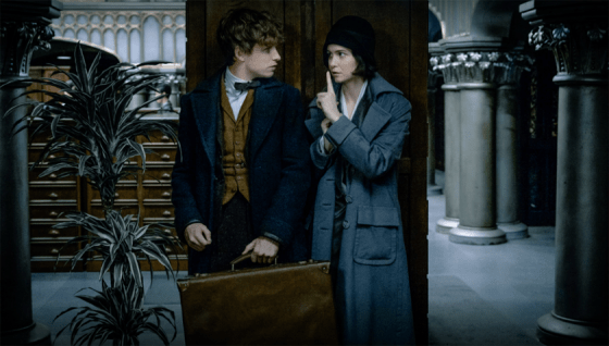 Phantastische Tierwesen und wo sie zu finden sind: Newt und Tina müssen zusammenarbeiten.