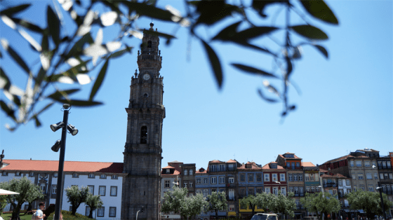 Auch der Park am Clérigos Tower ist einen Ausflug wert.