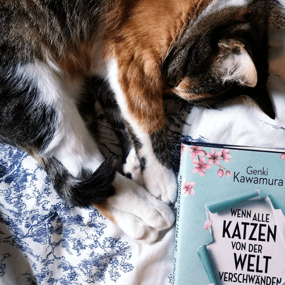 Wenn alle Katzen von der Welt verschwänden. Der neue Roman von Genki Kawamura.